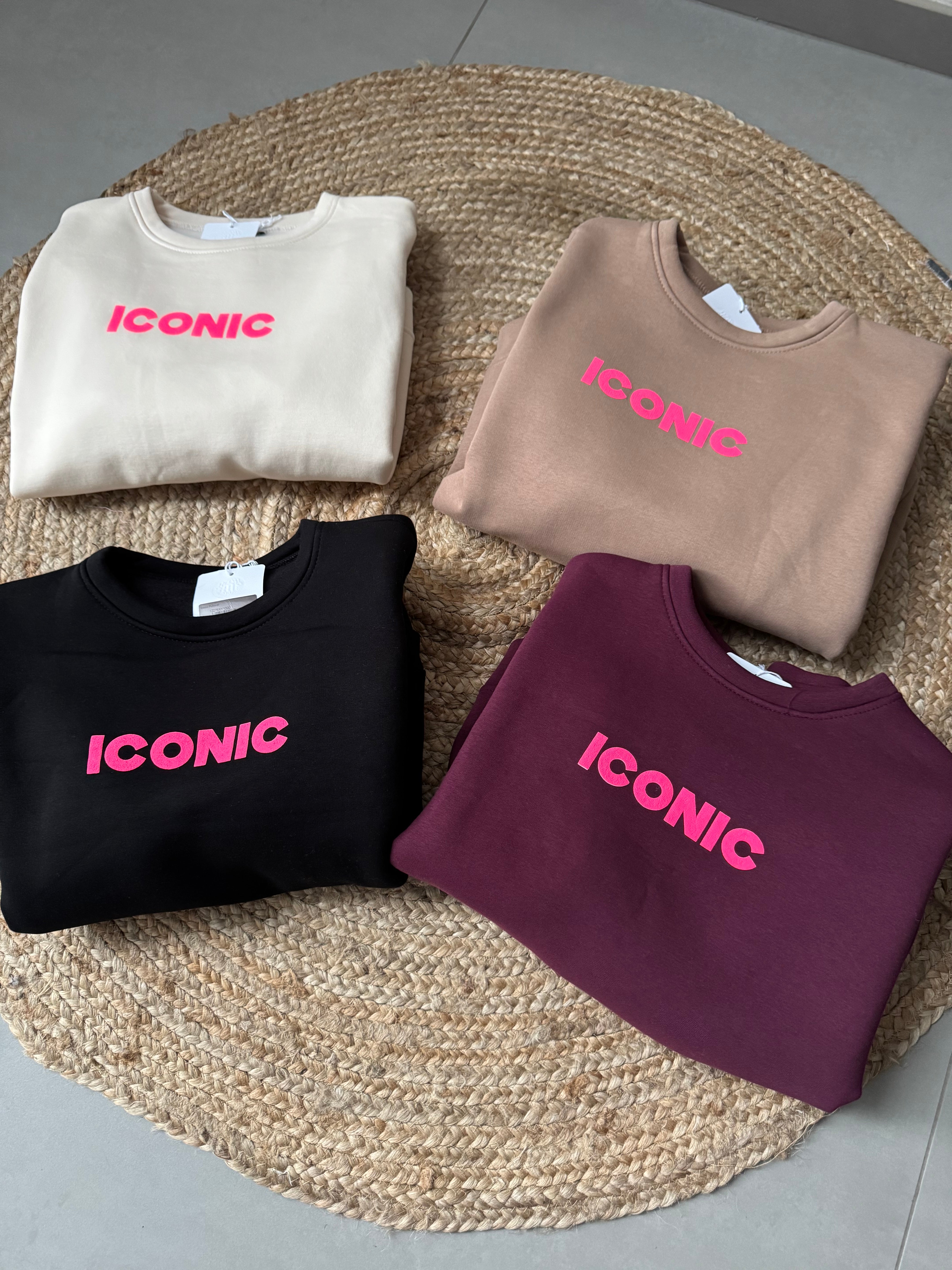 Sweat Iconic doublé polaire beige